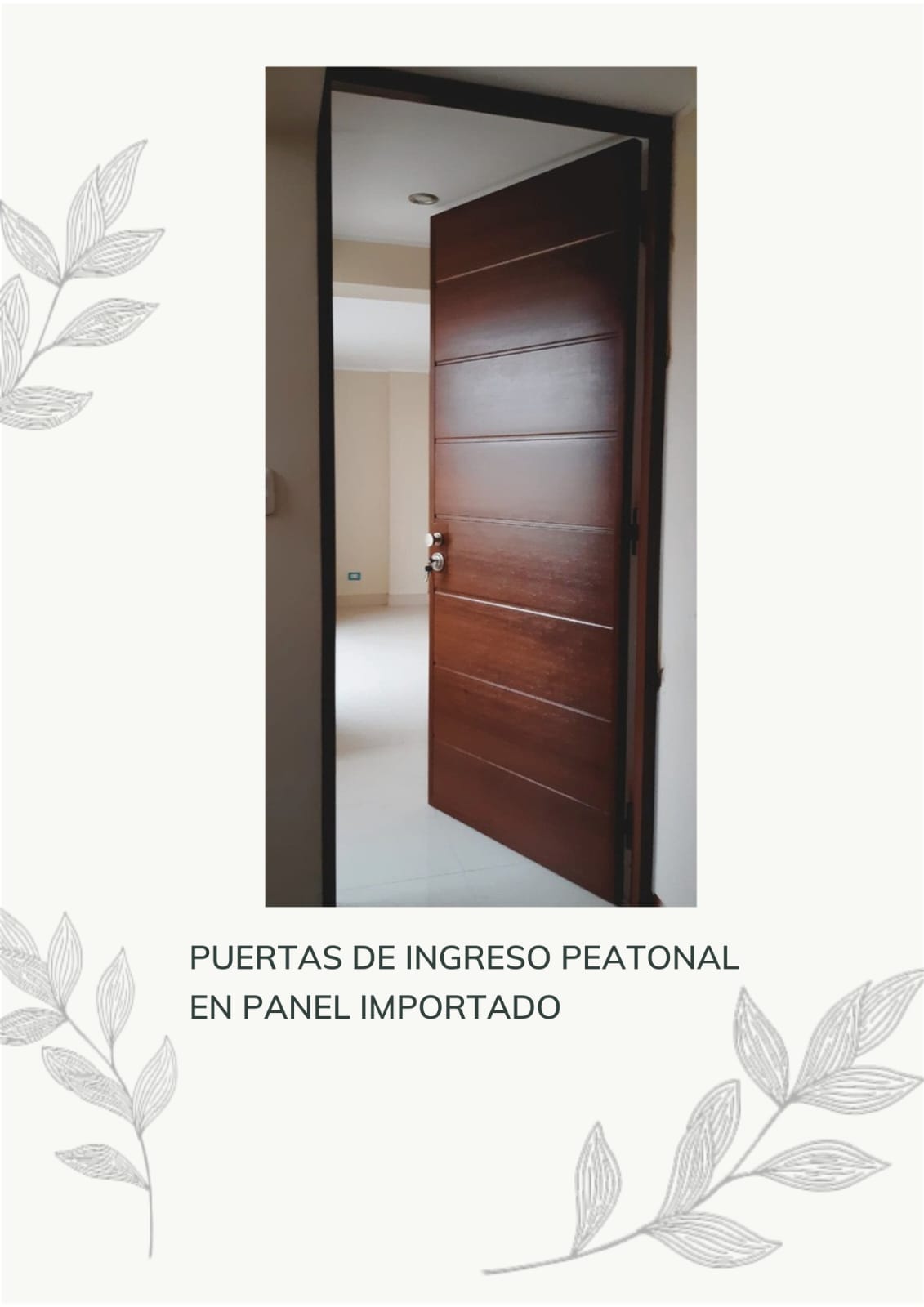 Puerta Peatonal 