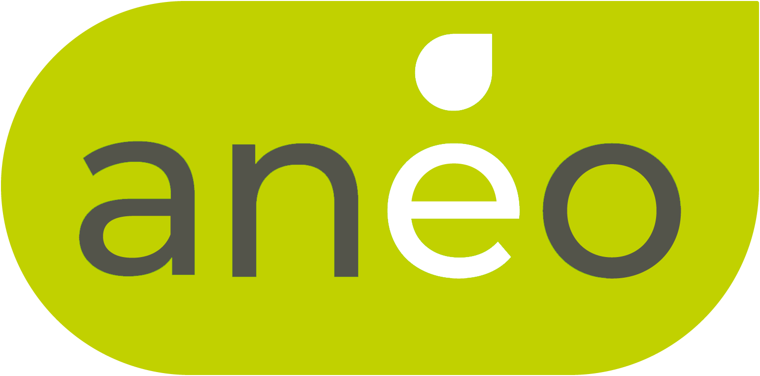 Logo Ano