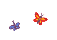 two_butterfly_svg_icon
