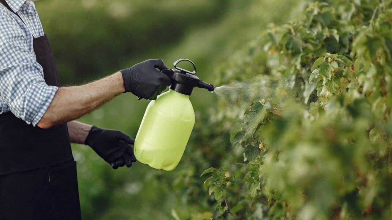SOLUCIÓN DE JABÓN POTÁSICO Y ACEITE DE NEEM