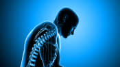 Skeletal view of the body highlighting pain in the knee