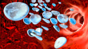 Medical illustration showing bacteria in the gut