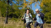 Walking with trek poles