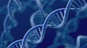 images of strands of dna