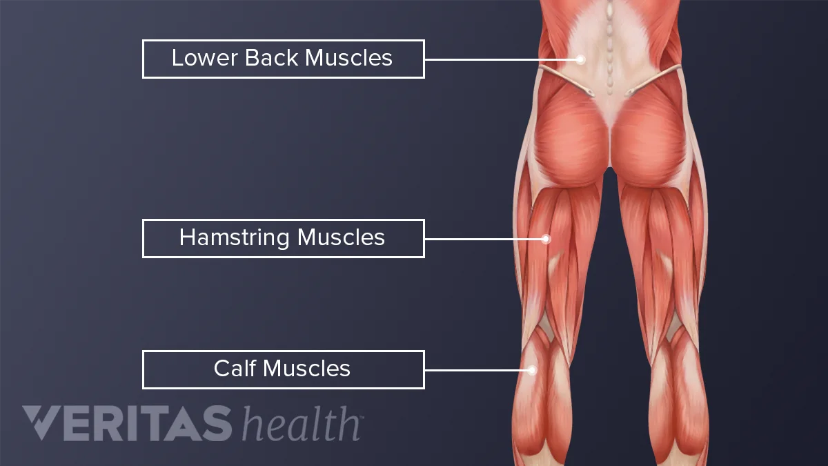 Tight muscle back of thigh sale