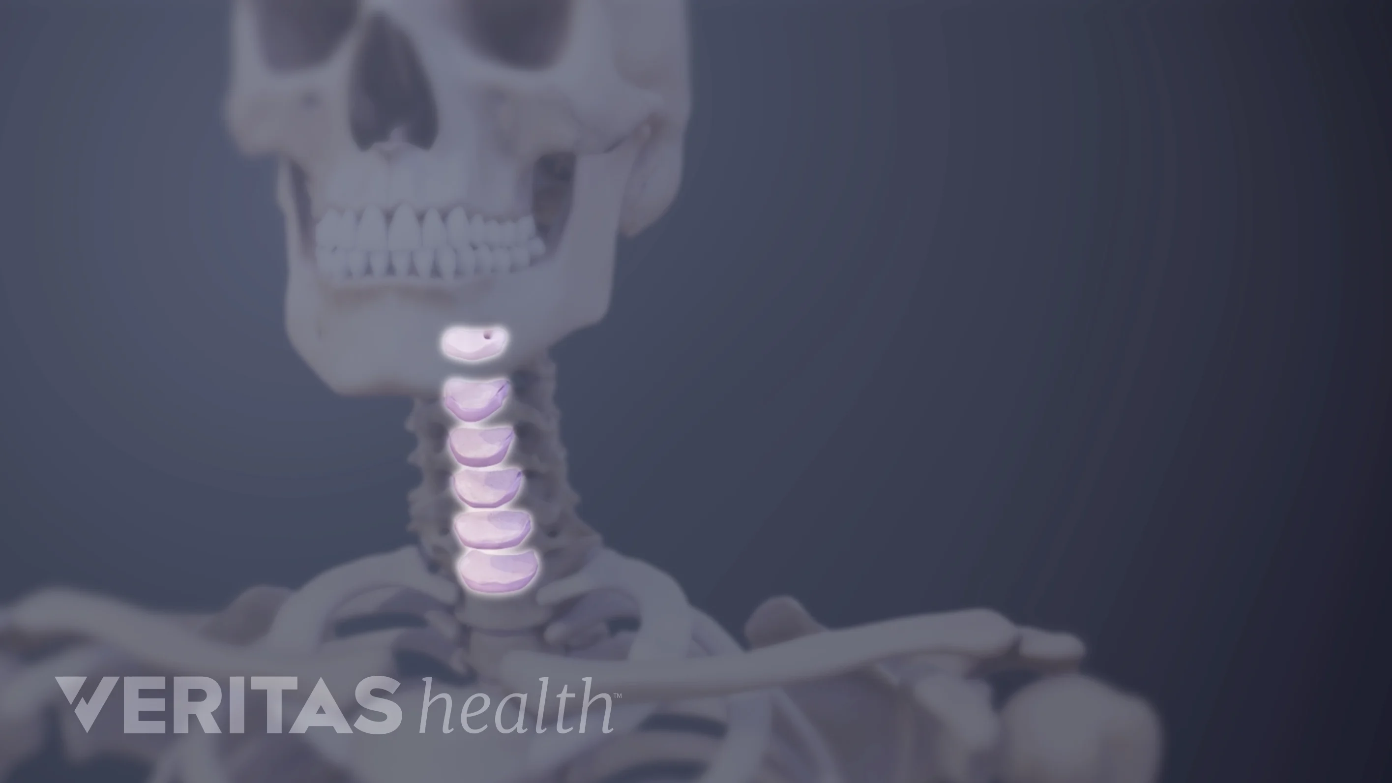 Cervical Disc Anatomy Animation | Spine-health
