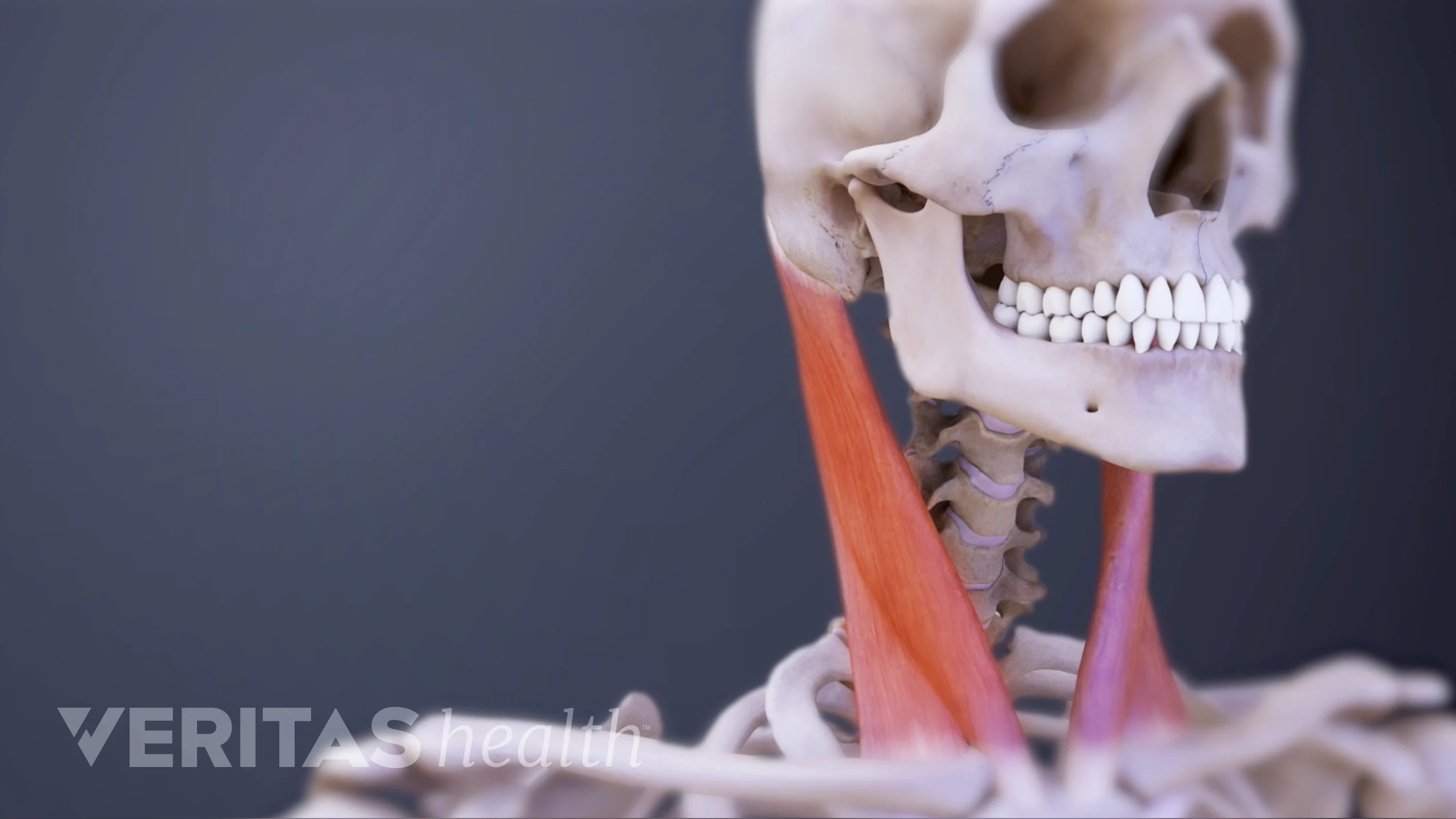 Neck spasms at night online
