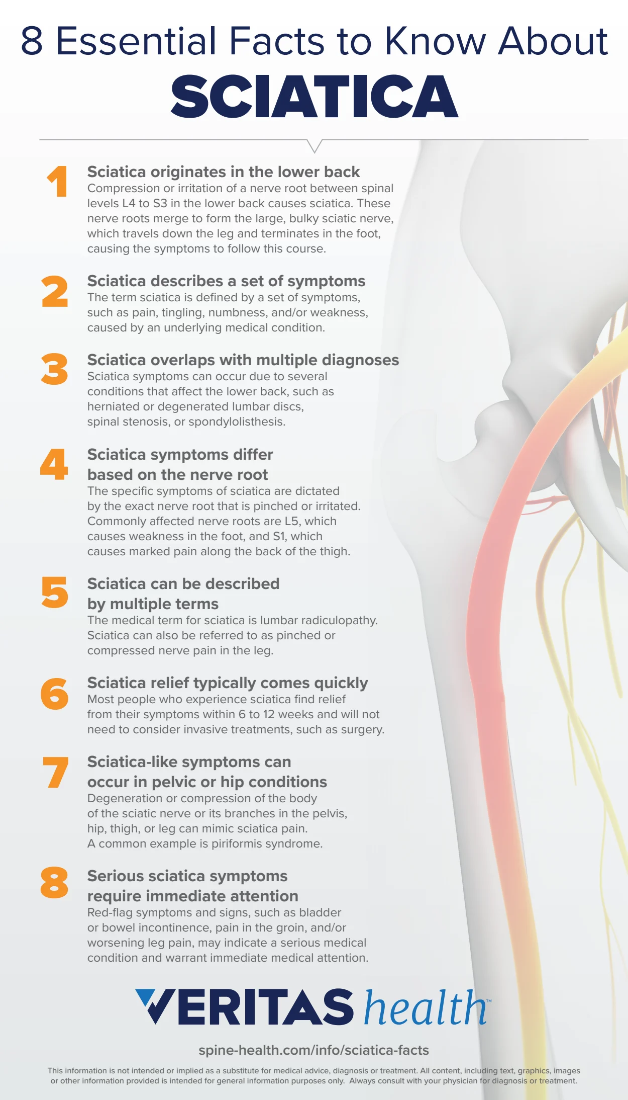 Siatica Rash 8 Essential Facts to Know About Sciatica Infographic