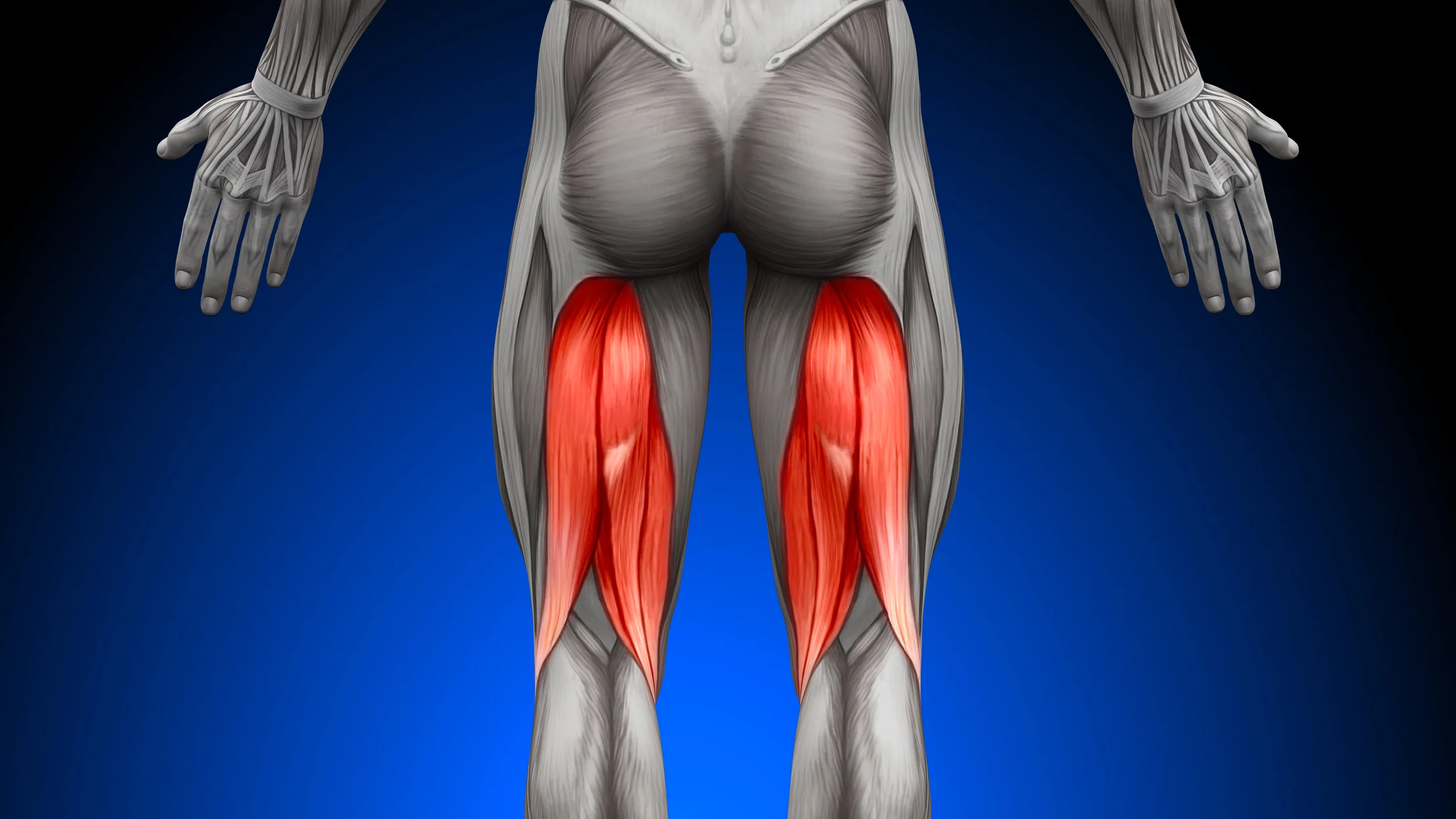 Real Hamstring Hamstring Tears: Signs and Symptoms