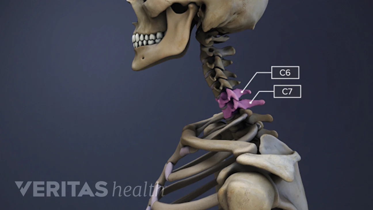 Spinal Motion Segment: C6-C7 Animation | Spine-health