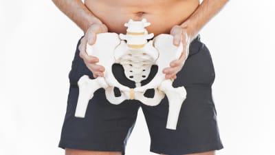 Man holding a skeleton of the pelvis