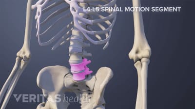 Anterior view of the trunk highlighting the L4-L5 vertebral segment.