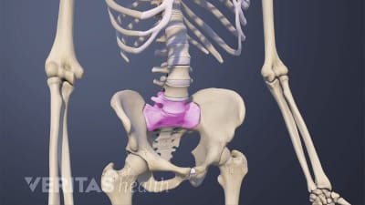 Anterior view of the pelvis highlighting L5-S1.