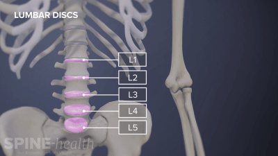 Lower Back Disc Lumbar Spine Anatomy Video | Spine-health