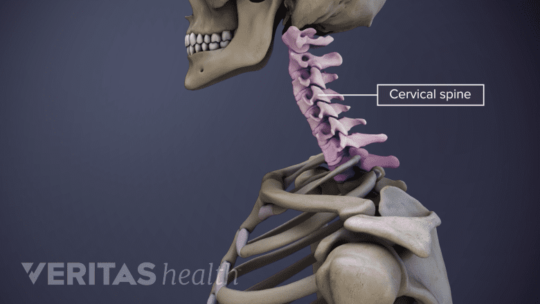3D image of the cervical spine.