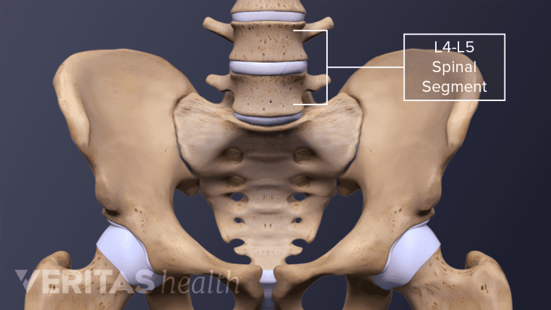3D rendering of the hip bone and lumbar spine.