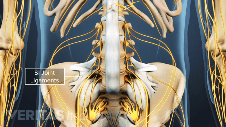Anterior view of the pelvis labeling the SI Joint ligaments.