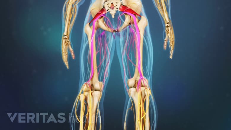 Nerve pain in both legs.