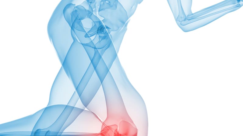 Skeletal view of the lower body showing pain in the knee.