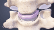 Cervical Disc Anatomy Animation