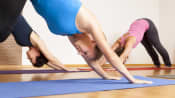 Women doing downward facing dog in their yoga pose