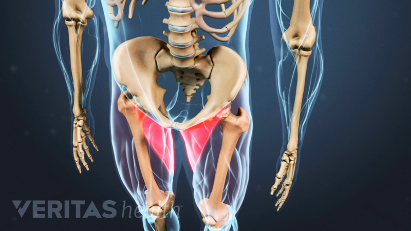 Groin Injuries | Sports-health