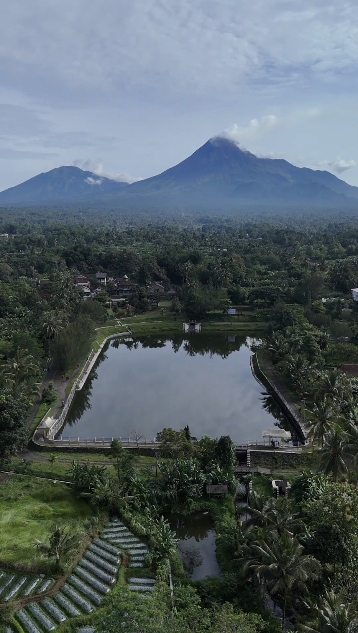 Sudut indah embung dikelilingi pepohonan