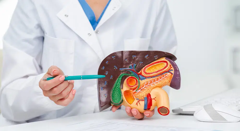 Decoding Liver Function Tests (LFTs): Results Explained | Private Blood ...