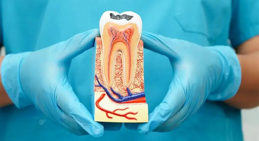 Complete Guide to Root Canal Treatment: What to Expect, Benefits, and Myths Explained