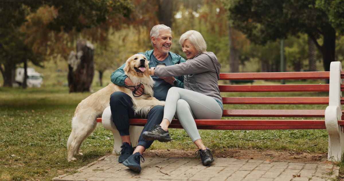 Why Does My Partial Denture Keep Clicking or Slipping When I Talk?