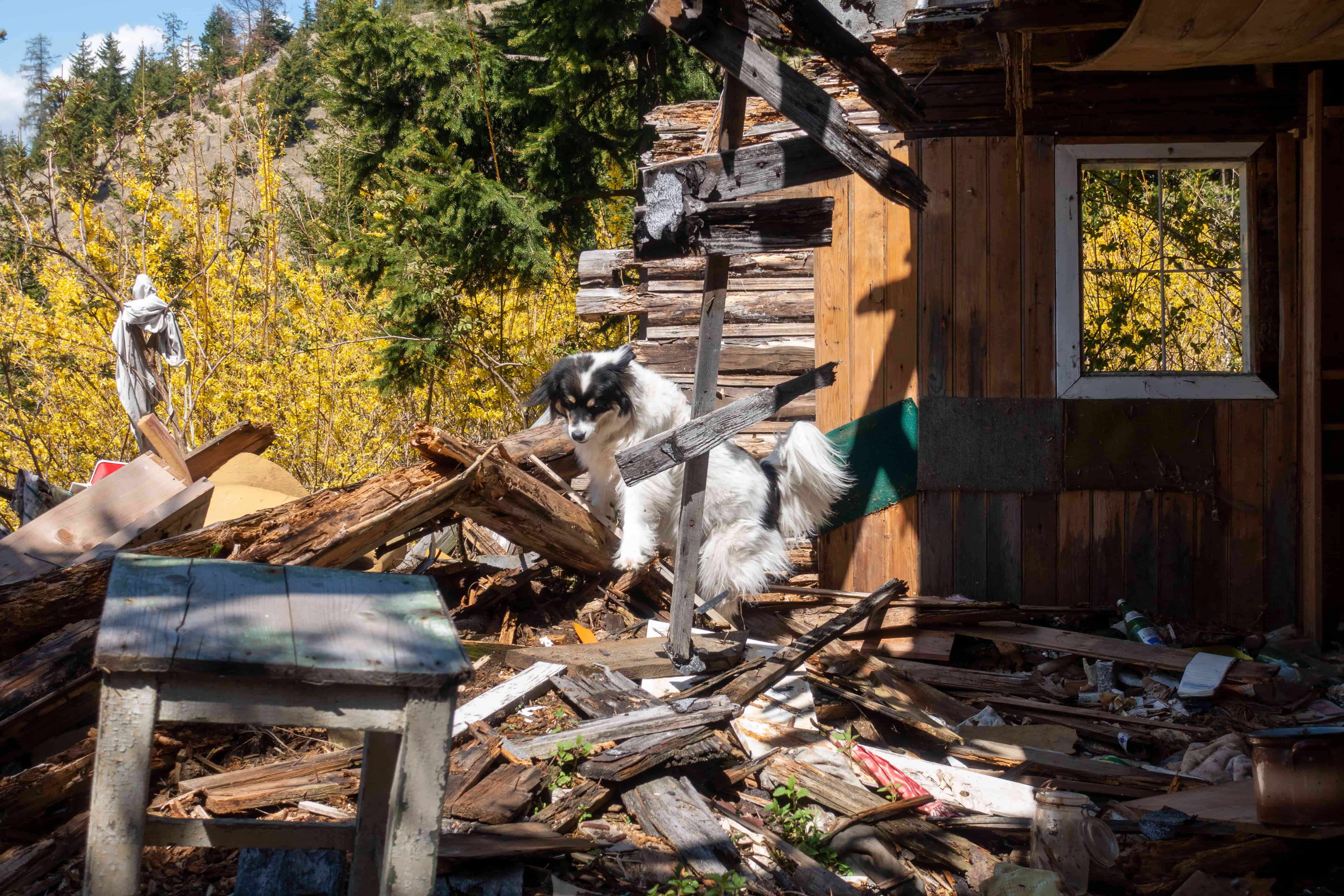 Attic and Loft Junk Removal in London: How to Clear Years of Unwanted Items