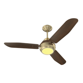 Ceiling Fans