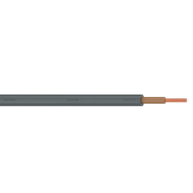 Bs 6004