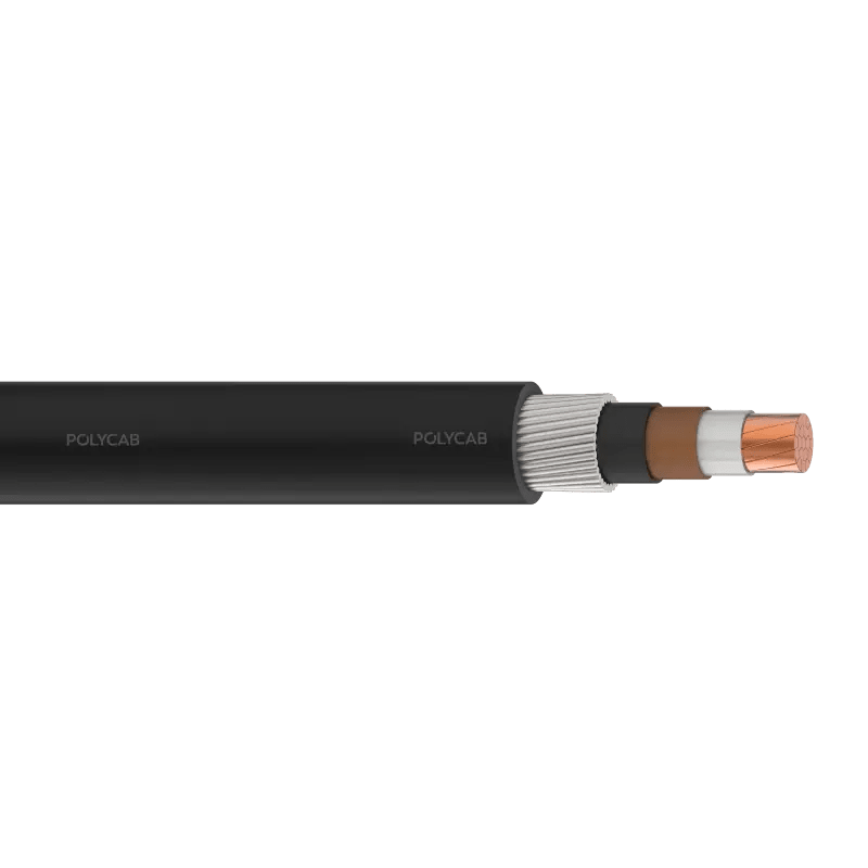 polycab-ignis-241