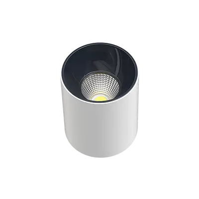 Polycab Gliss COB Surface Spot Light Rd (white Hsg & Gm Refltr)