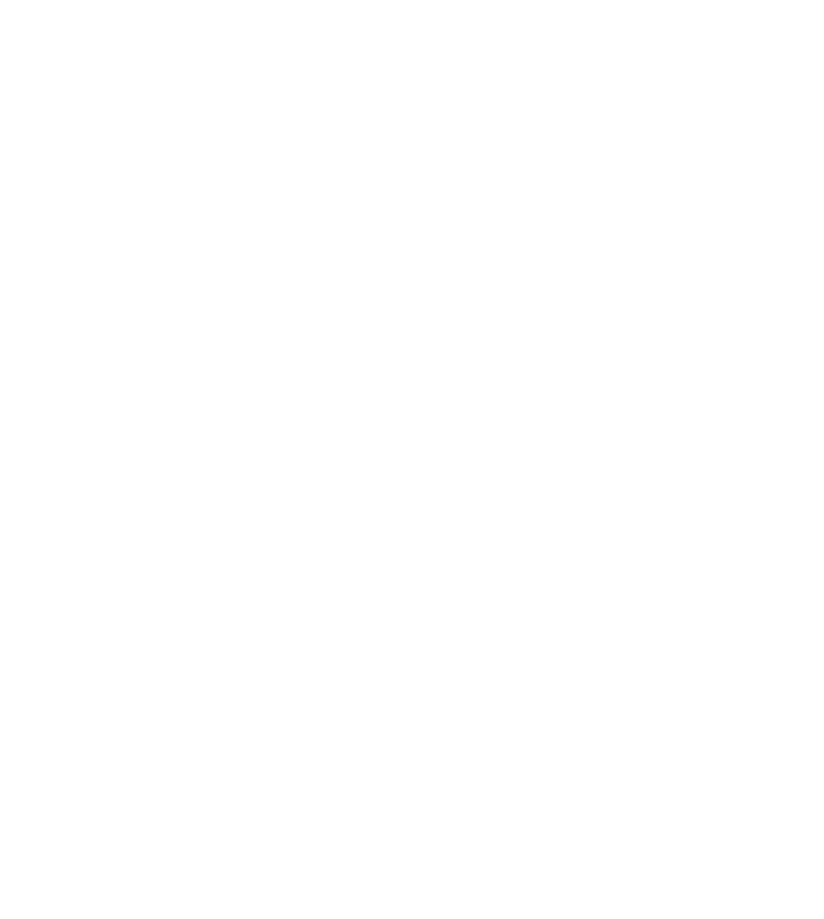 CONEICC