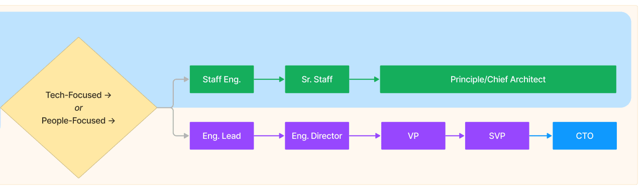 Flowchart depicting advanced engineering career paths, branching into leadership or specialized roles, culminating in executive positions like CTO.