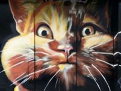 Pc8t4yot5i3ho18i20h0