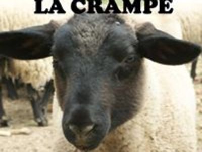 Npksxn6eqjptlttahv1u