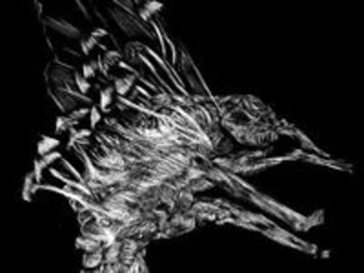 M8nhwscrjiqq7t1aijuc