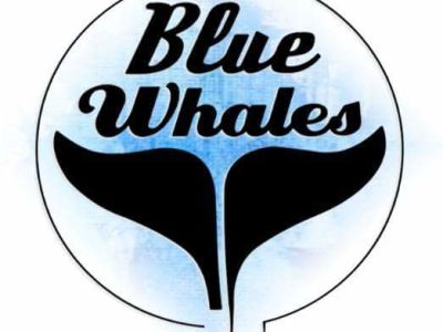 Qm8wzyp8num3v6xweim1