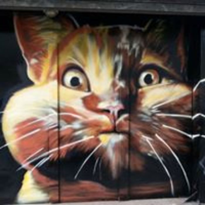 Pc8t4yot5i3ho18i20h0