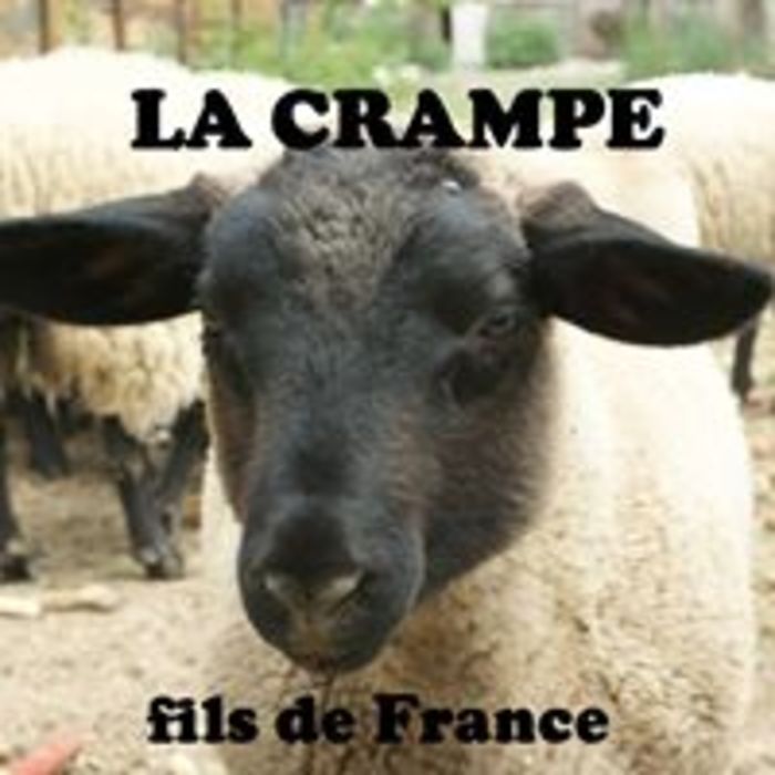 Npksxn6eqjptlttahv1u