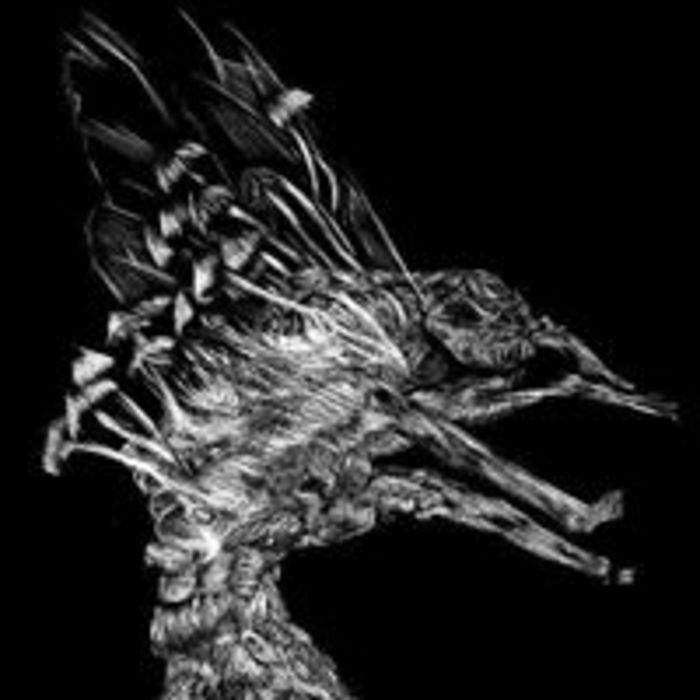 M8nhwscrjiqq7t1aijuc