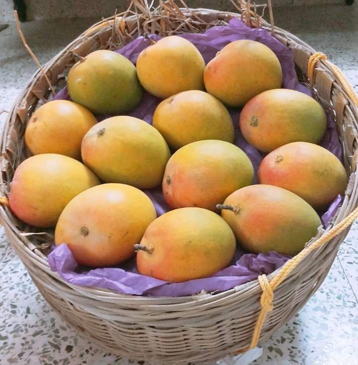 Prince Alphonso Mangoes