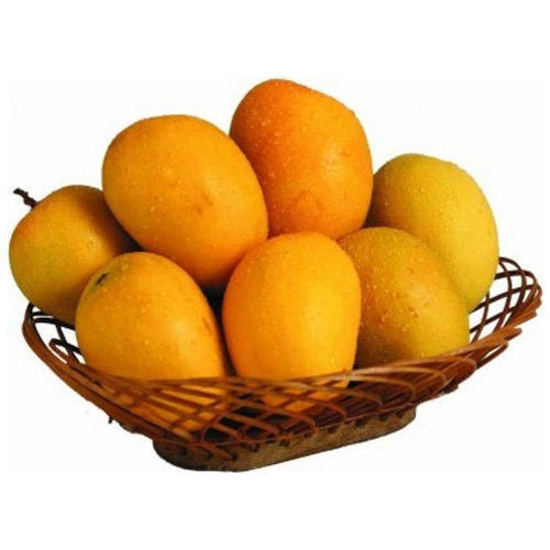 King Alphonso Mangoes