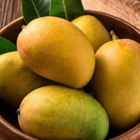 Payari Mangoes