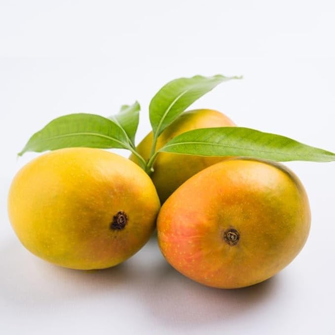Queen Alphonso Mangoes