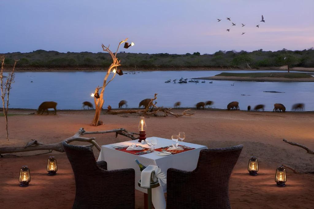 Cinnamon Wild Yala