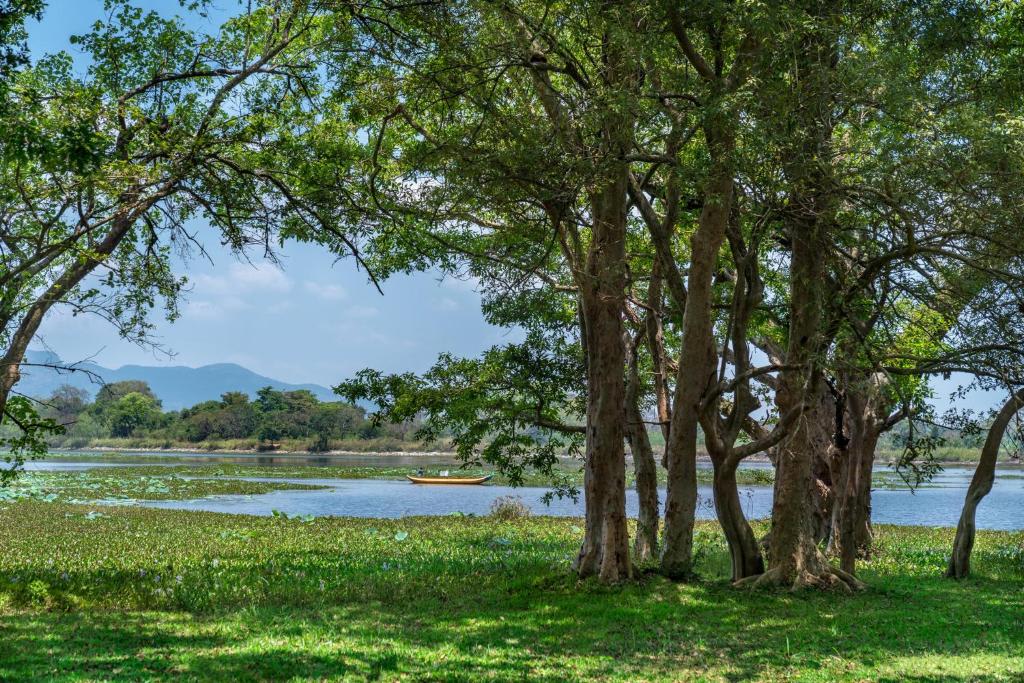 Cinnamon Lodge Habarana